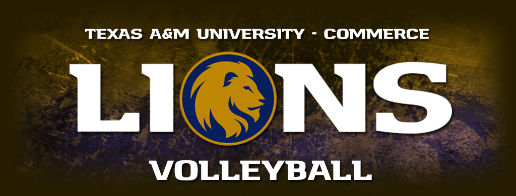 you-must-enable-javascript-or-upgrade-to-a-javascript-capable-browser